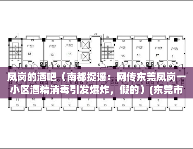 凤岗的酒吧（南都捉谣：网传东莞凤岗一小区酒精消毒引发爆炸，假的）(东莞市凤岗镇h酒吧)