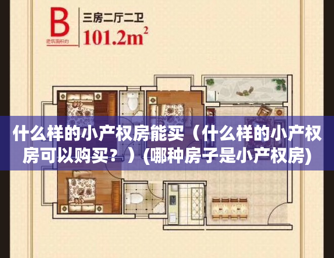什么样的小产权房能买（什么样的小产权房可以购买？）(哪种房子是小产权房)