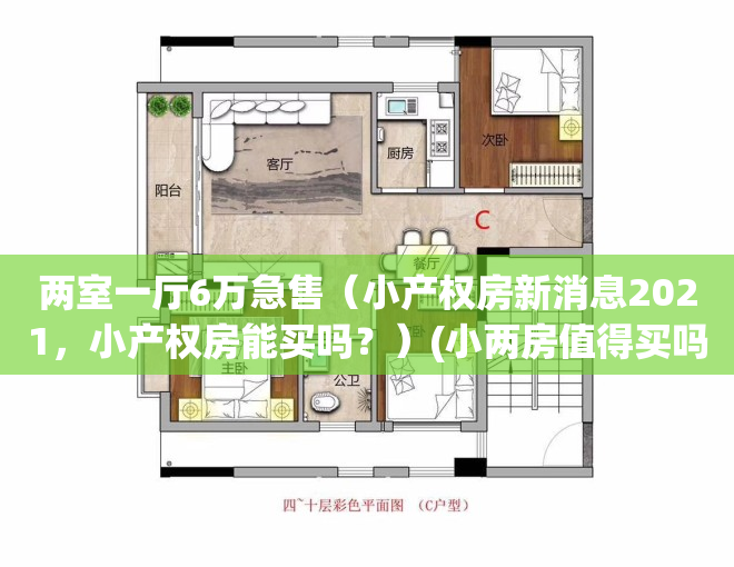 两室一厅6万急售（小产权房新消息2021，小产权房能买吗？）(小两房值得买吗)