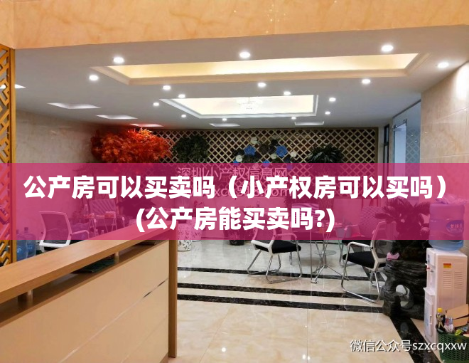 公产房可以买卖吗（小产权房可以买吗）(公产房能买卖吗?)