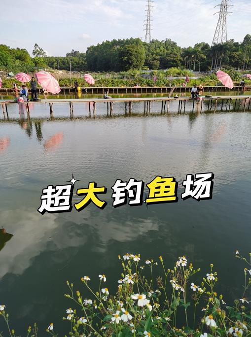 长安乌沙小产权房:大岭山鸡翅岭唯一在售小产权房(名轩豪庭)天然氧吧,稀缺优质房源(小产权房产证怎么办视频)