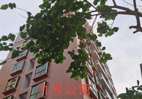 东莞虎门北栅新楼盘小产权房《九号公馆》虎门中心区域,毛坯户型,可以分期3年(买小产权房子多久可以卖)