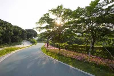 龙华观澜小产权房《华澜新城》华为基地旁新楼盘,通燃气 有大型停车场(没有遗嘱小产权房房子怎么处理)
